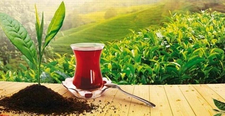 Çay